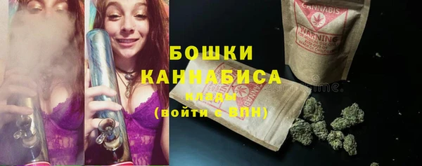 ПСИЛОЦИБИНОВЫЕ ГРИБЫ Баксан