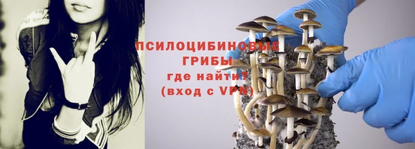 СК Балахна