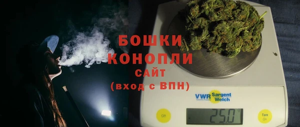 ПСИЛОЦИБИНОВЫЕ ГРИБЫ Баксан
