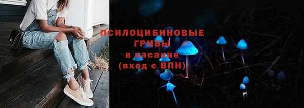 PSILOCYBIN Семёнов