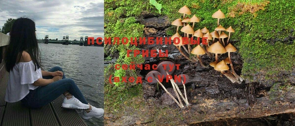 соль ск Балабаново