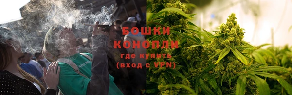 СК Балахна
