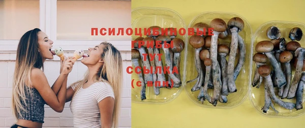 соль ск Балабаново